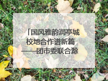 国风雅韵润亭城 校地合作谱新篇——团市委联合滁州城市职业学院助力传统文化“破圈”绽放