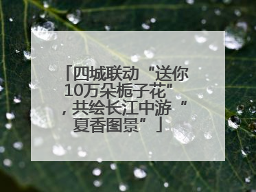 四城联动“送你10万朵栀子花”，共绘长江中游“夏香图景”