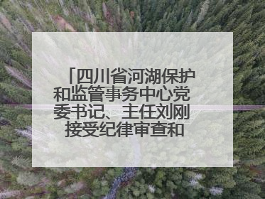 四川省河湖保护和监管事务中心党委书记、主任刘刚 接受纪律审查和监察调查