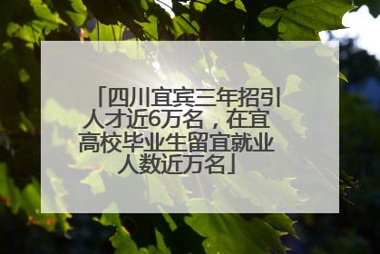 四川宜宾三年招引人才近6万名，在宜高校毕业生留宜就业人数近万名