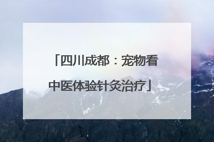 四川成都：宠物看中医体验针灸治疗
