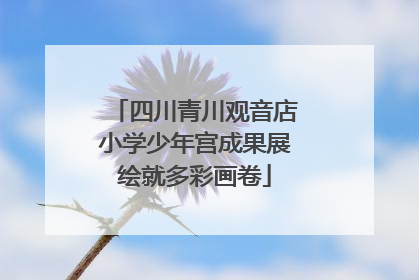 四川青川观音店小学少年宫成果展绘就多彩画卷