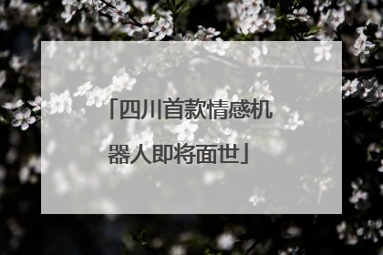 四川首款情感机器人即将面世