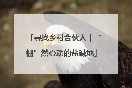 寻找乡村合伙人｜“棚”然心动的盐碱地