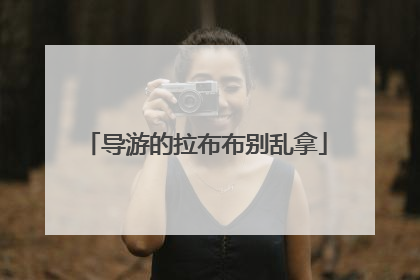 导游的拉布布别乱拿