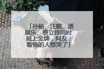 孙杨、汪顺、潘展乐、费立纬同时戴上金牌，网友：看懂的人都哭了