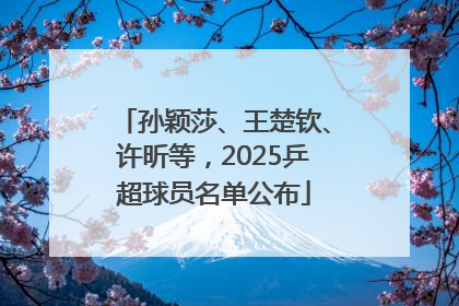 孙颖莎、王楚钦、许昕等，2025乒超球员名单公布
