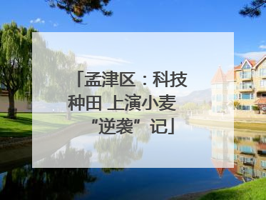 孟津区：科技种田 上演小麦“逆袭”记