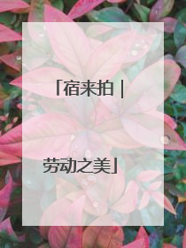 宿来拍｜劳动之美