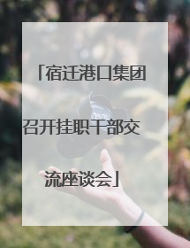 宿迁港口集团召开挂职干部交流座谈会