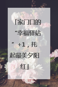 家门口的“幸福驿站”+1，托起最美夕阳红