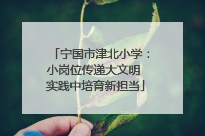 宁国市津北小学：小岗位传递大文明 实践中培育新担当