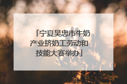 宁夏吴忠市牛奶产业挤奶工劳动和技能大赛举办