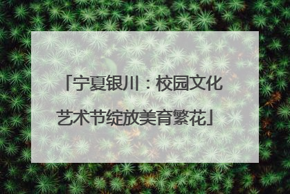 宁夏银川：校园文化艺术节绽放美育繁花