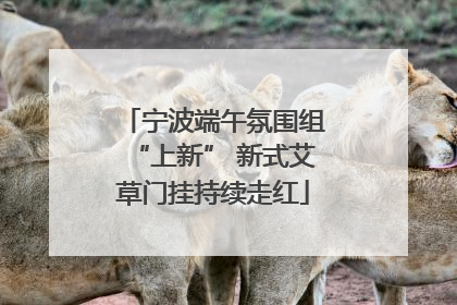 宁波端午氛围组“上新” 新式艾草门挂持续走红