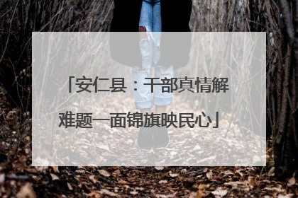 安仁县：干部真情解难题一面锦旗映民心