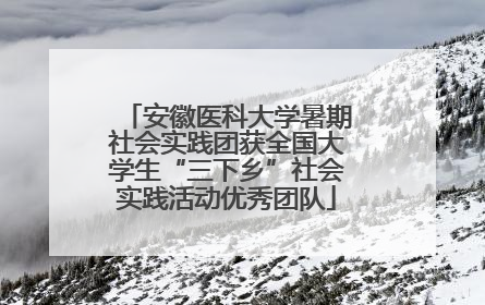 安徽医科大学暑期社会实践团获全国大学生“三下乡”社会实践活动优秀团队