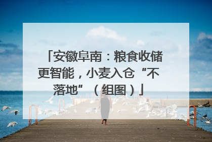 安徽阜南：粮食收储更智能，小麦入仓“不落地”（组图）