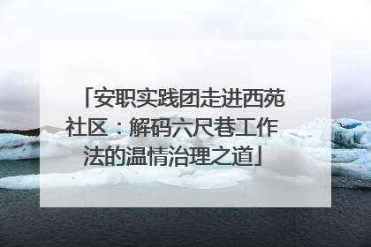 安职实践团走进西苑社区：解码六尺巷工作法的温情治理之道