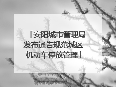 安阳城市管理局发布通告规范城区机动车停放管理