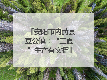 安阳市内黄县豆公镇：“三夏”生产有实招