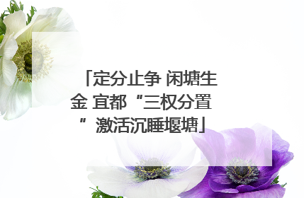 定分止争 闲塘生金 宜都“三权分置”激活沉睡堰塘