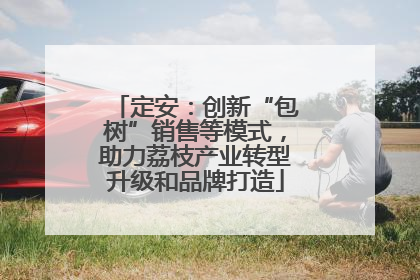 定安：创新“包树”销售等模式，助力荔枝产业转型升级和品牌打造