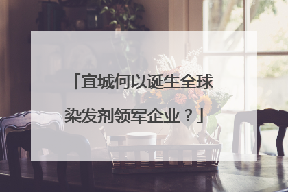 宜城何以诞生全球染发剂领军企业？