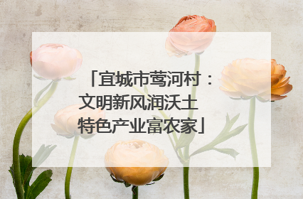 宜城市莺河村：文明新风润沃土 特色产业富农家