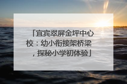 宜宾翠屏金坪中心校：幼小衔接架桥梁，探秘小学初体验