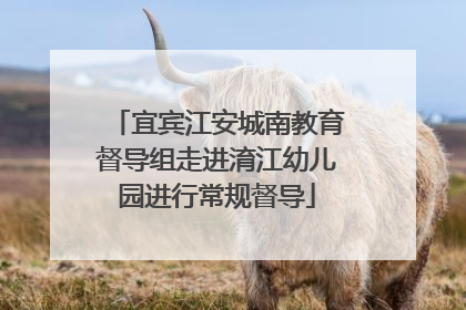 宜宾江安城南教育督导组走进淯江幼儿园进行常规督导