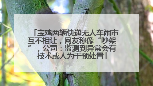 宝鸡两辆快递无人车闹市互不相让，网友称像“吵架”，公司：监测到异常会有技术或人为干预处置