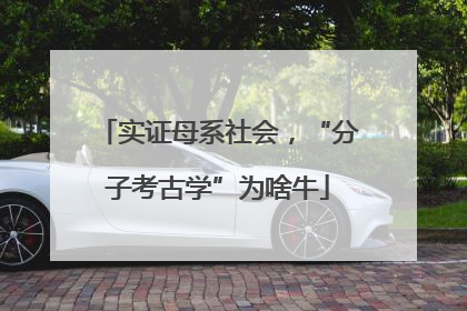实证母系社会，“分子考古学”为啥牛