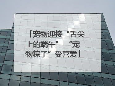 宠物迎接“舌尖上的端午” “宠物粽子”受喜爱