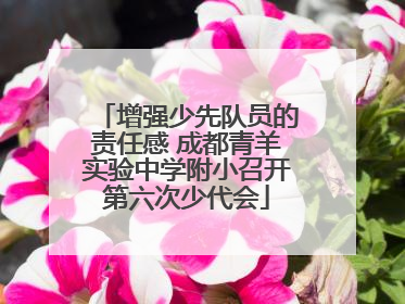 增强少先队员的责任感 成都青羊实验中学附小召开第六次少代会