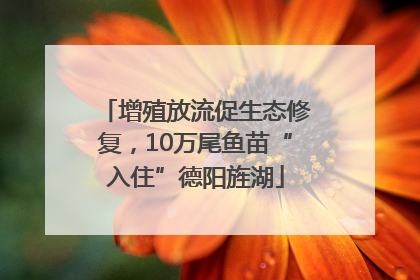 增殖放流促生态修复，10万尾鱼苗“入住”德阳旌湖