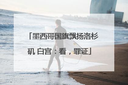 墨西哥国旗飘扬洛杉矶 白宫：看，罪证