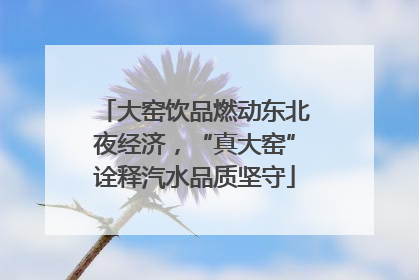 大窑饮品燃动东北夜经济，“真大窑”诠释汽水品质坚守