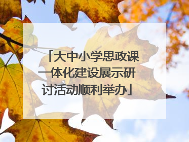 大中小学思政课一体化建设展示研讨活动顺利举办
