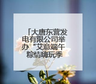 大唐东营发电有限公司举办“艾意端午 粽情嗨玩季”系列活动