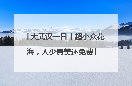 大武汉一日丨超小众花海，人少景美还免费