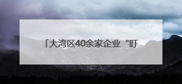 大湾区40余家企业“盯上”海口这场政策分享会