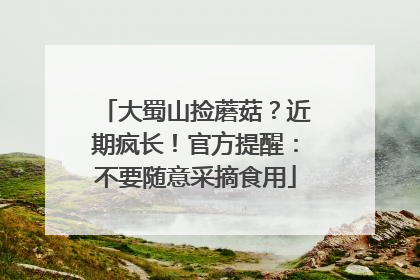 大蜀山捡蘑菇？近期疯长！官方提醒：不要随意采摘食用