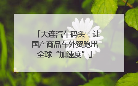 大连汽车码头：让国产商品车外贸跑出全球“加速度”