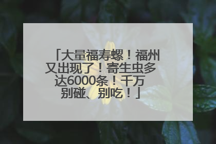 大量福寿螺！福州又出现了！寄生虫多达6000条！千万别碰、别吃！