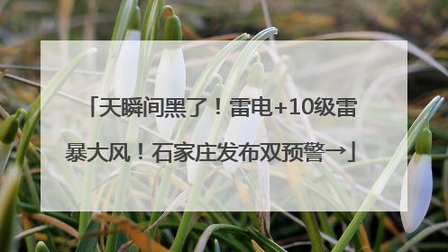 天瞬间黑了！雷电+10级雷暴大风！石家庄发布双预警→