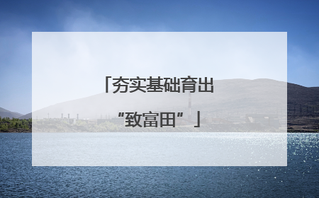 夯实基础育出“致富田”