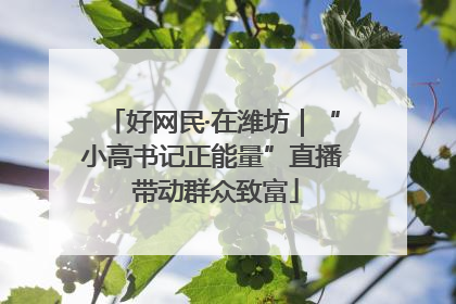 好网民·在潍坊｜“小高书记正能量”直播 带动群众致富