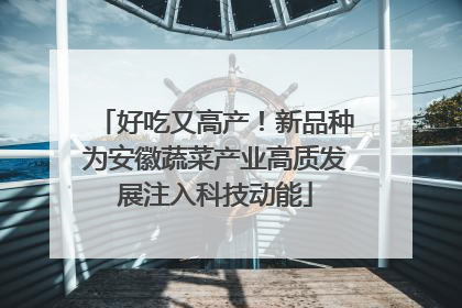 好吃又高产！新品种为安徽蔬菜产业高质发展注入科技动能