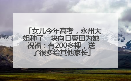 女儿今年高考，永州大姐种了一块向日葵田为她祝福：有200多棵，送了很多给其他家长